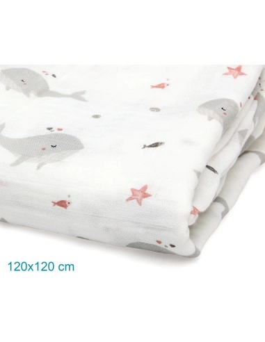 Muselina 120x120